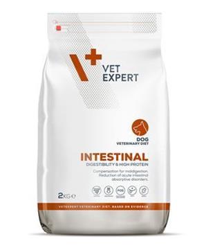 VetExpert VD 4T Intestinal Dog pro psy