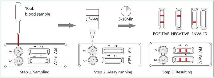 Testování na FIV a FeLV