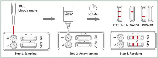 Testování na FIV a FeLV