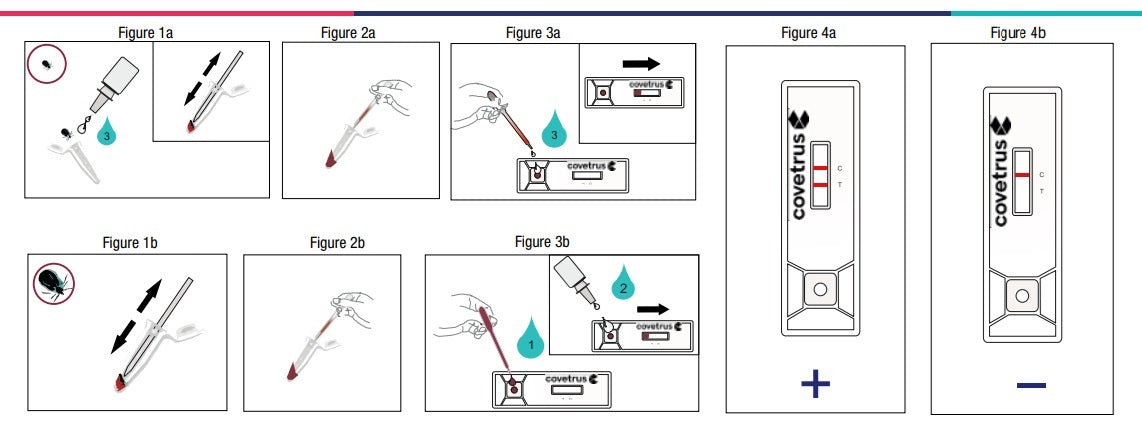 Test Borrelia Ag Single test 2ks CVET