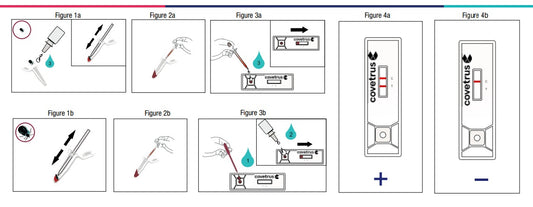 Test Borrelia Ag Single test 2ks CVET