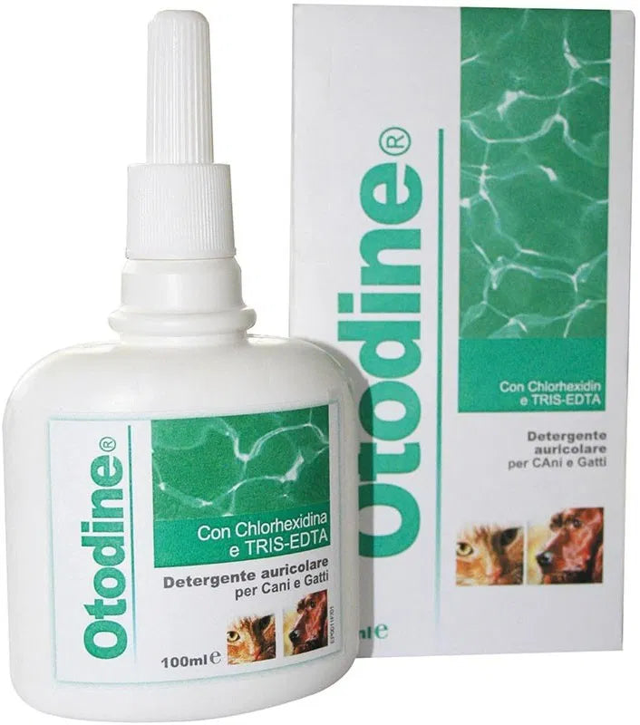 Otodine 100ml