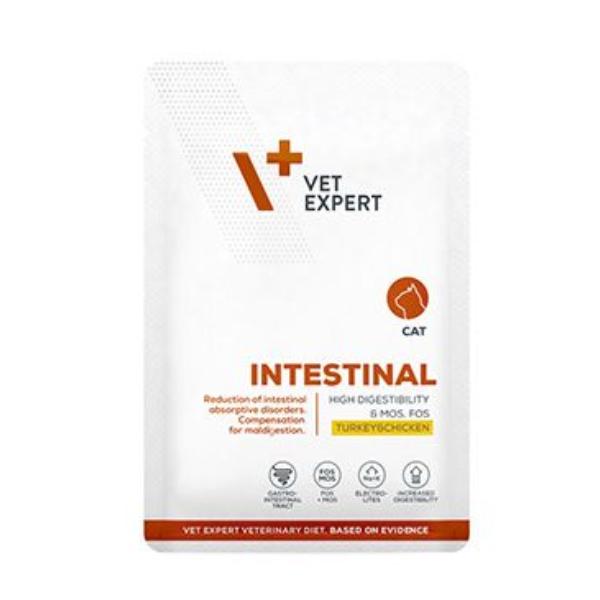 VetExpert VD 4T Intestinal Cat kapsa 100g